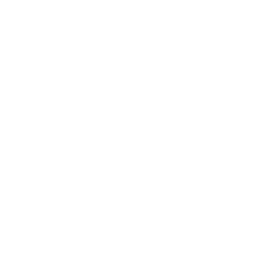 BassdScho-Logo-transparent-icon